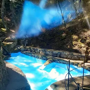 https://il-rifugio-di-artemide.hotelitalianriviera.com